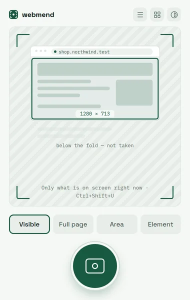 WebMend popup showing the capture options